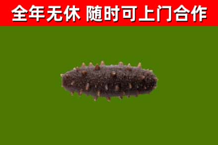 恒山区烟酒回收干海参.jpg
