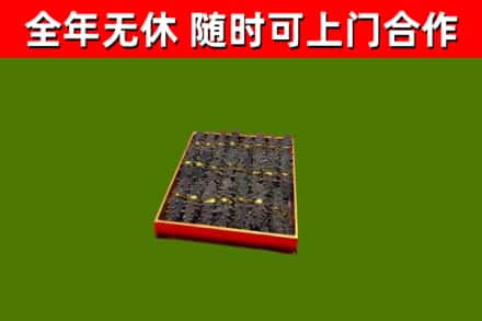 恒山区烟酒回收海参.jpg